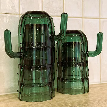 The Cactus South Bay Apartment Varna
