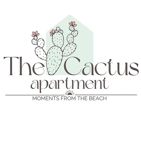 The Cactus South Bay * Varna
