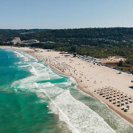 The Cactus South Bay Varna